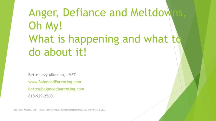 anger defiance and meltdowns oh my what