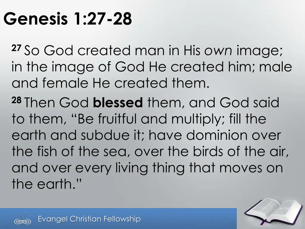 genesis 1 27 28