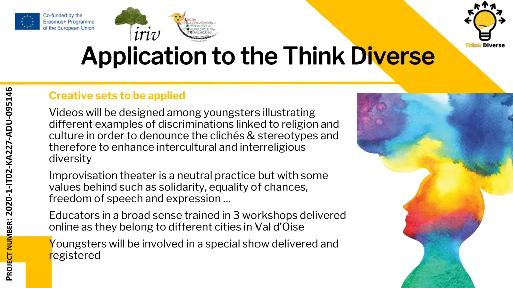application to the think diverse application 1