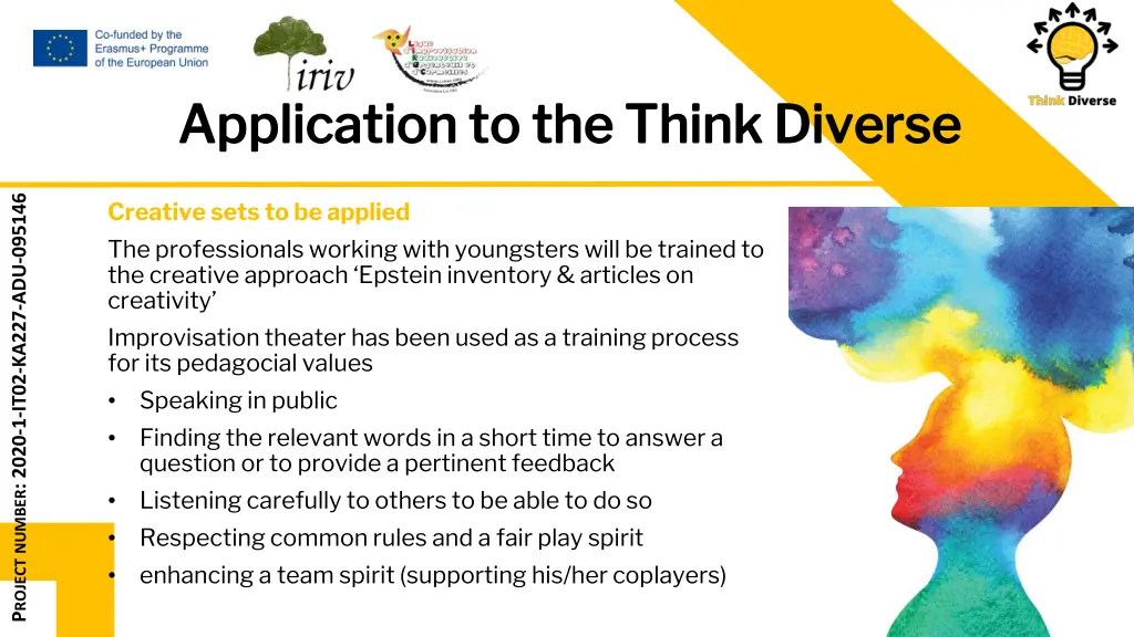 application to the think diverse application