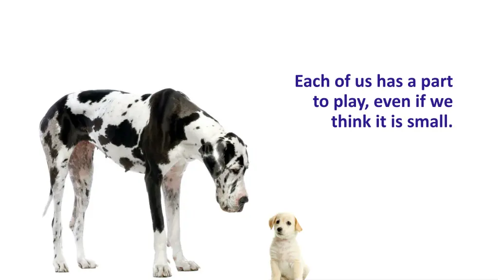 each of us has a part to play even if we think