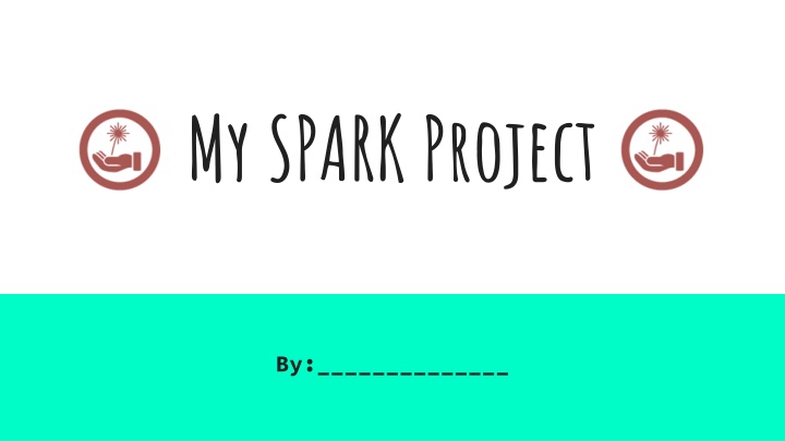 my spark project
