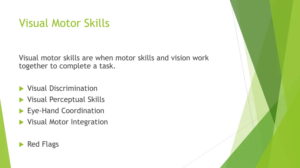 visual motor skills