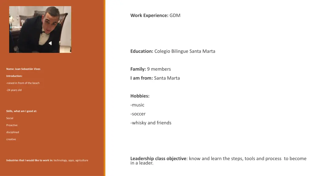 work experience gdm