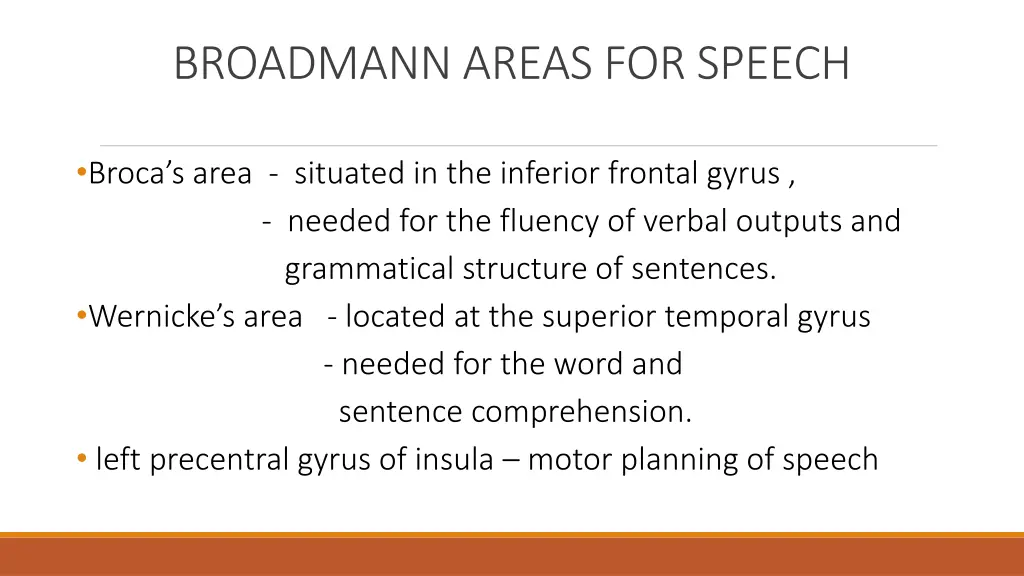 broadmann areas for speech