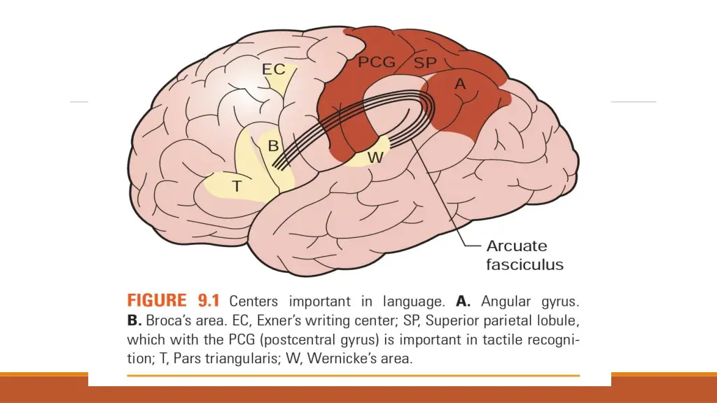 slide4