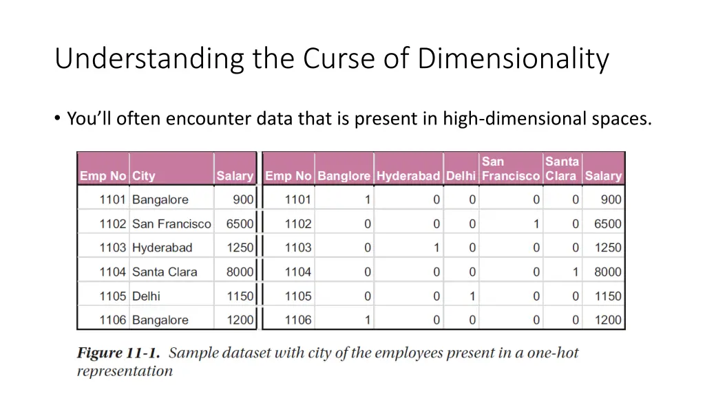 understanding the curse of dimensionality