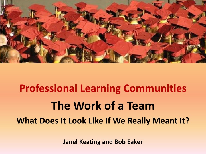 professional learning communities the work