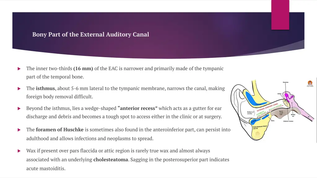bony part of the external auditory canal