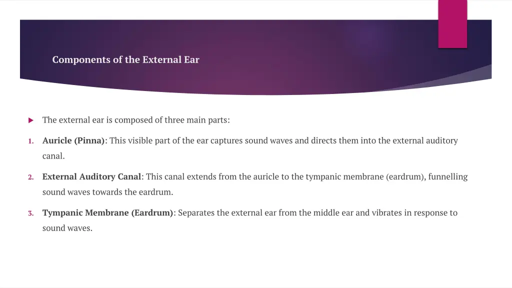 components of the external ear