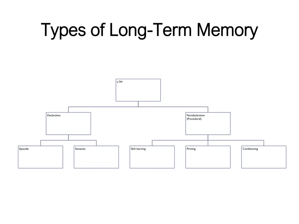 types of long types of long term memory