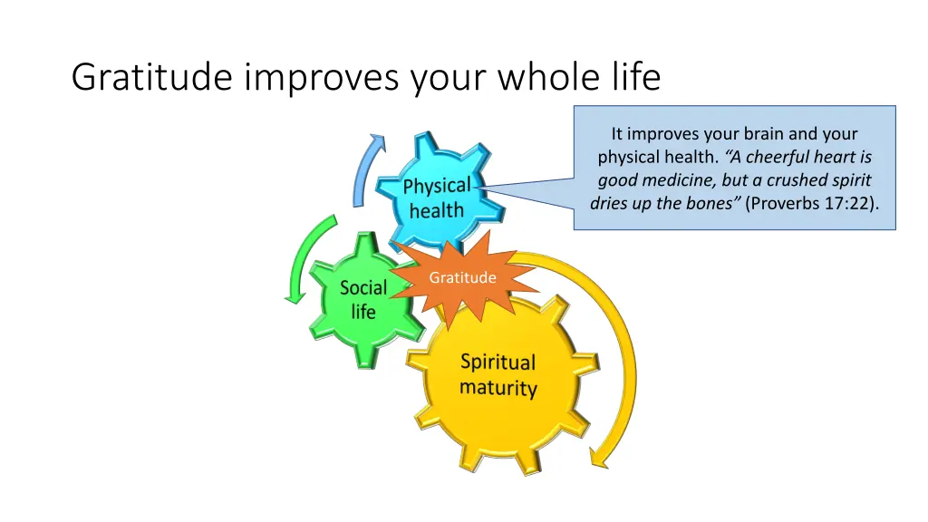 gratitude improves your whole life
