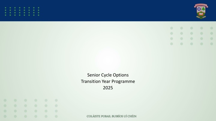 senior cycle options transition year programme