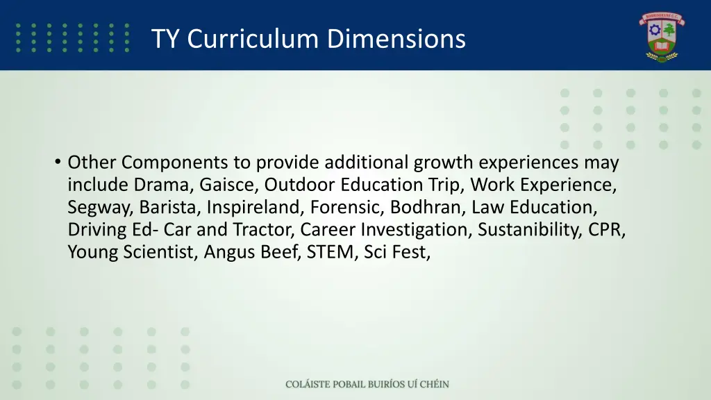 ty curriculum dimensions 1