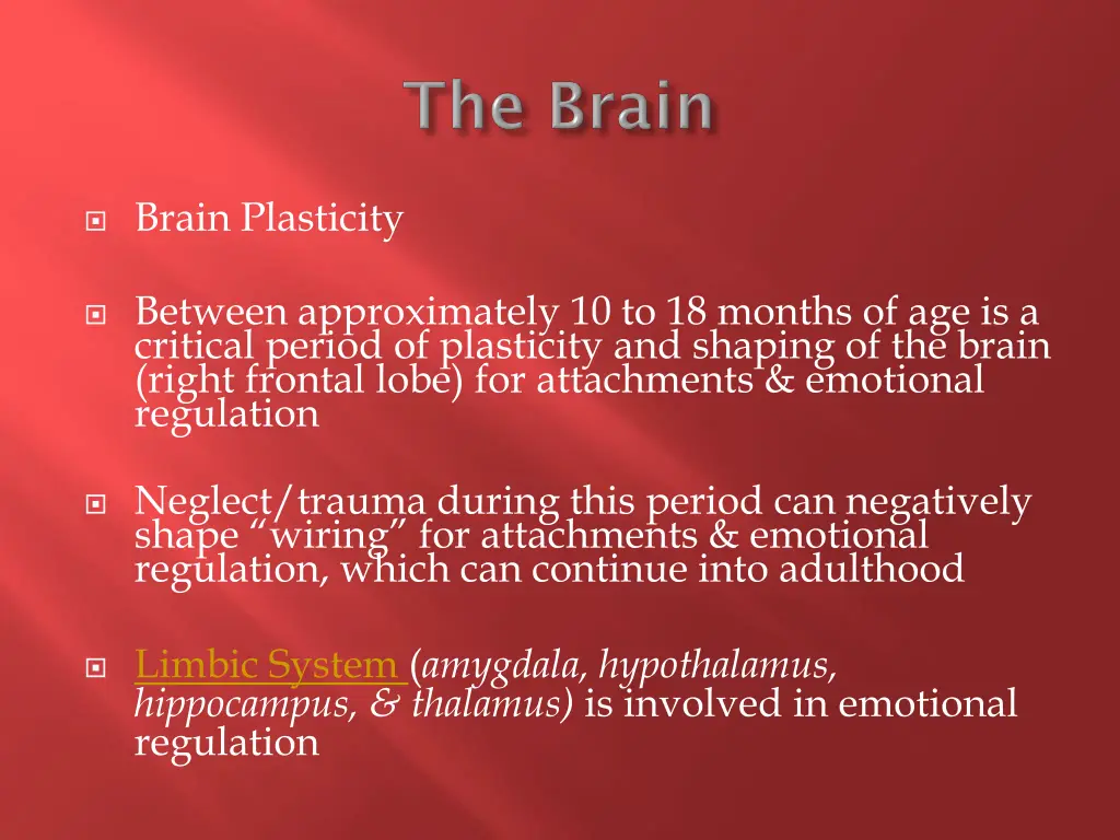 brain plasticity