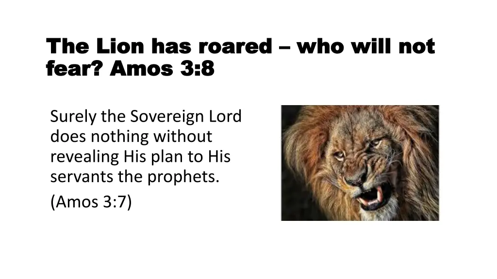 the lion has roared the lion has roared who will