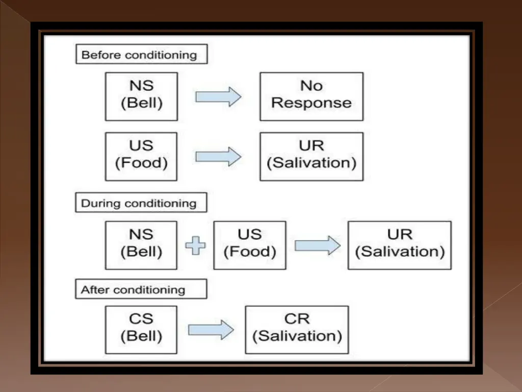 slide20