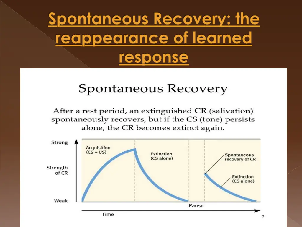 spontaneous recovery the reappearance of learned