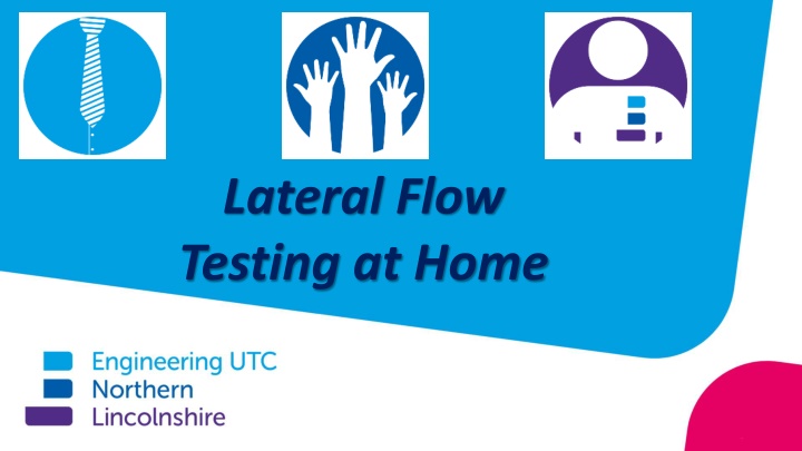 lateral flow testing at home