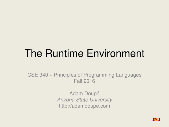 the runtime environment