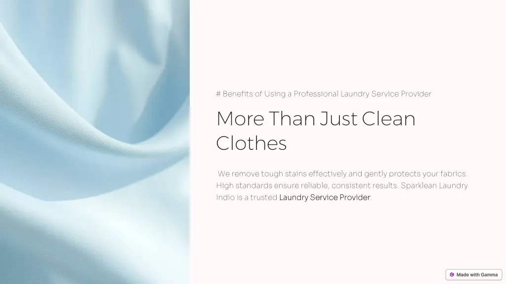 benefits of using a professional laundry service