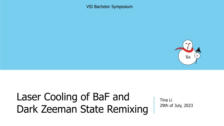 vsi bachelor symposium