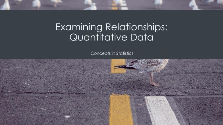 examining relationships quantitative data