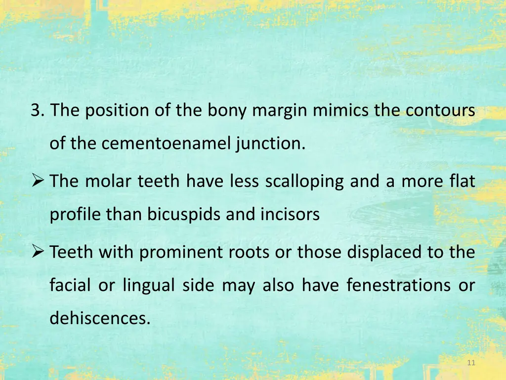 3 the position of the bony margin mimics