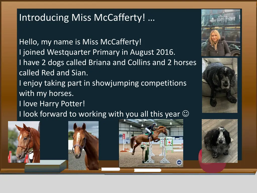 introducing miss mccafferty