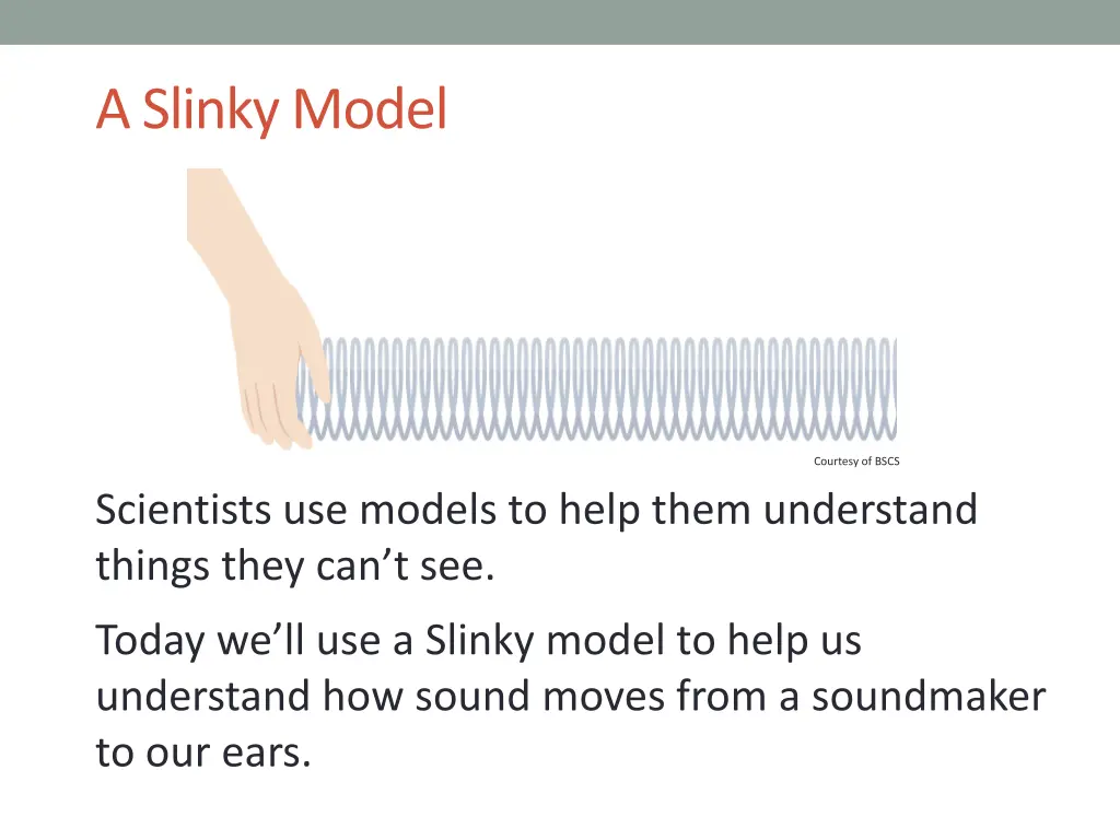 a slinky model