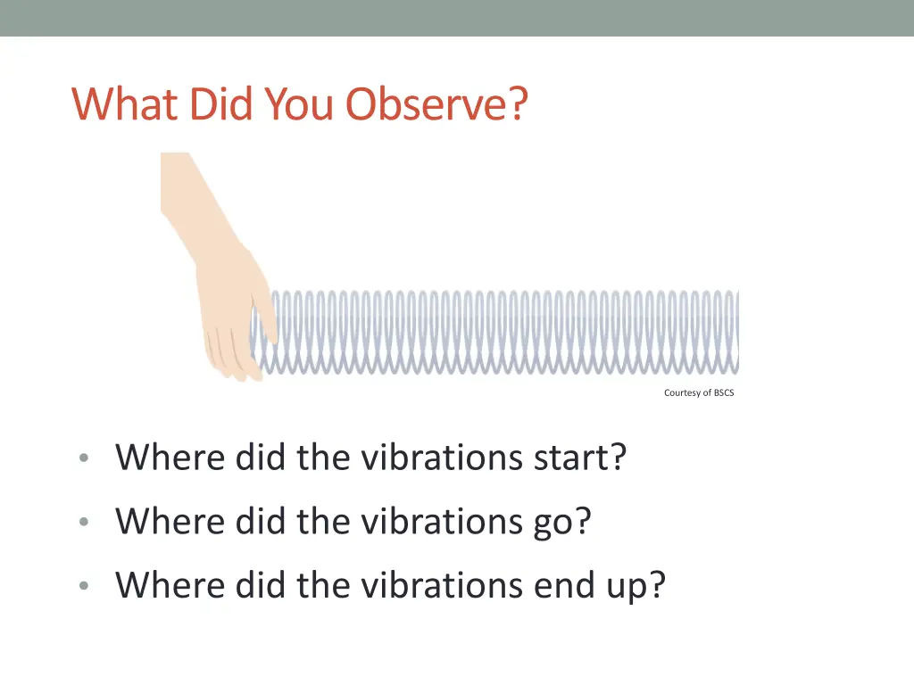 what did you observe