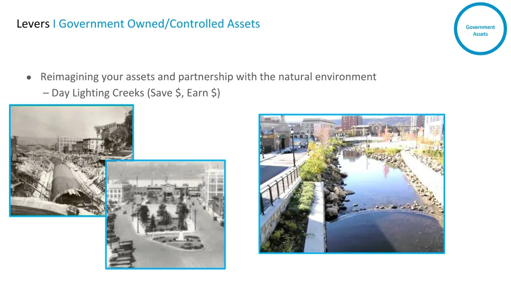 levers i government owned controlled assets 1