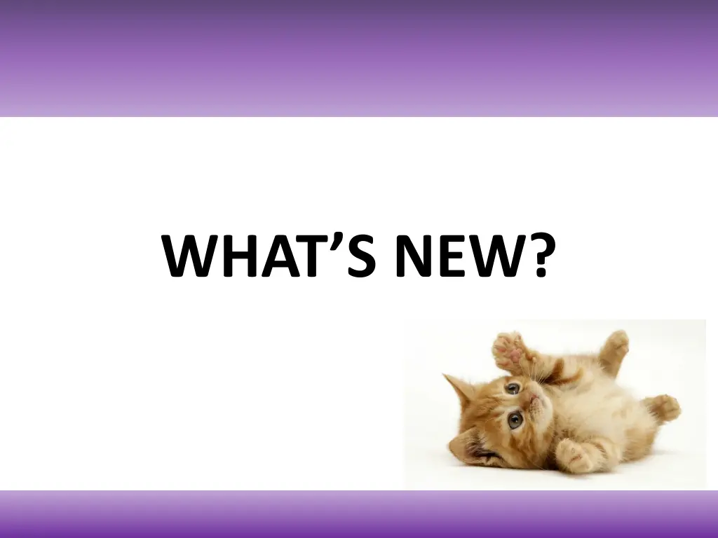what s new
