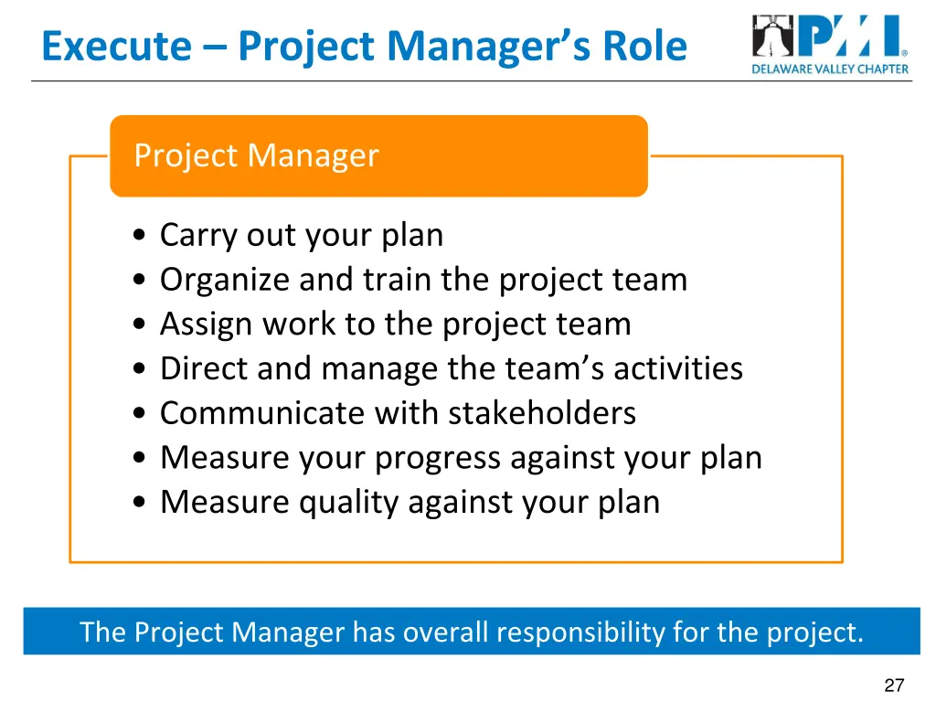 execute project manager s role