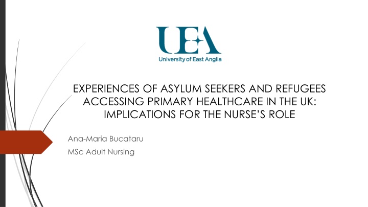 experiences of asylum seekers and refugees