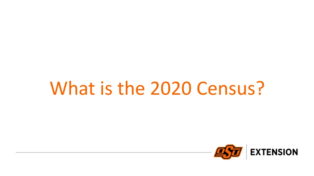 what is the 2020 census