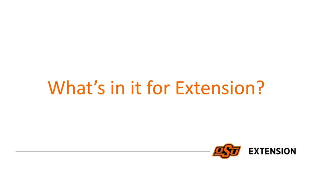 what s in it for extension