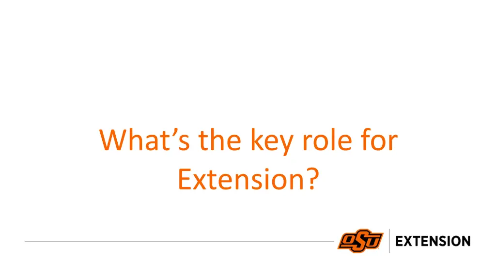 what s the key role for extension