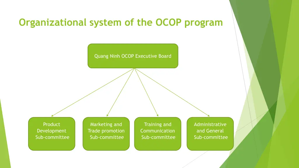 organizational system of the ocop program