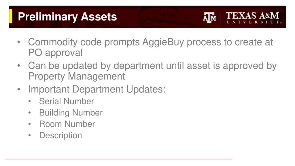 preliminary assets 1