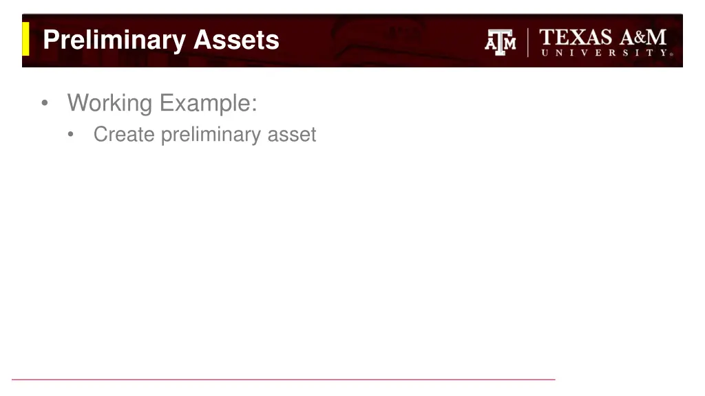 preliminary assets 5