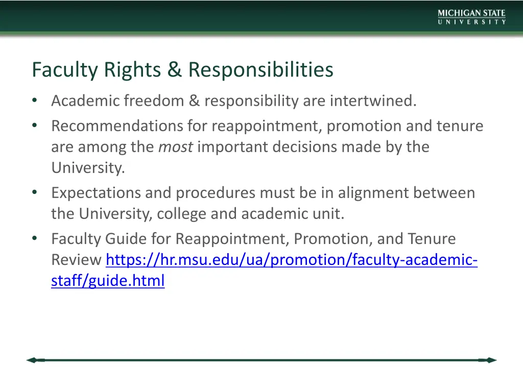 faculty rights responsibilities academic freedom