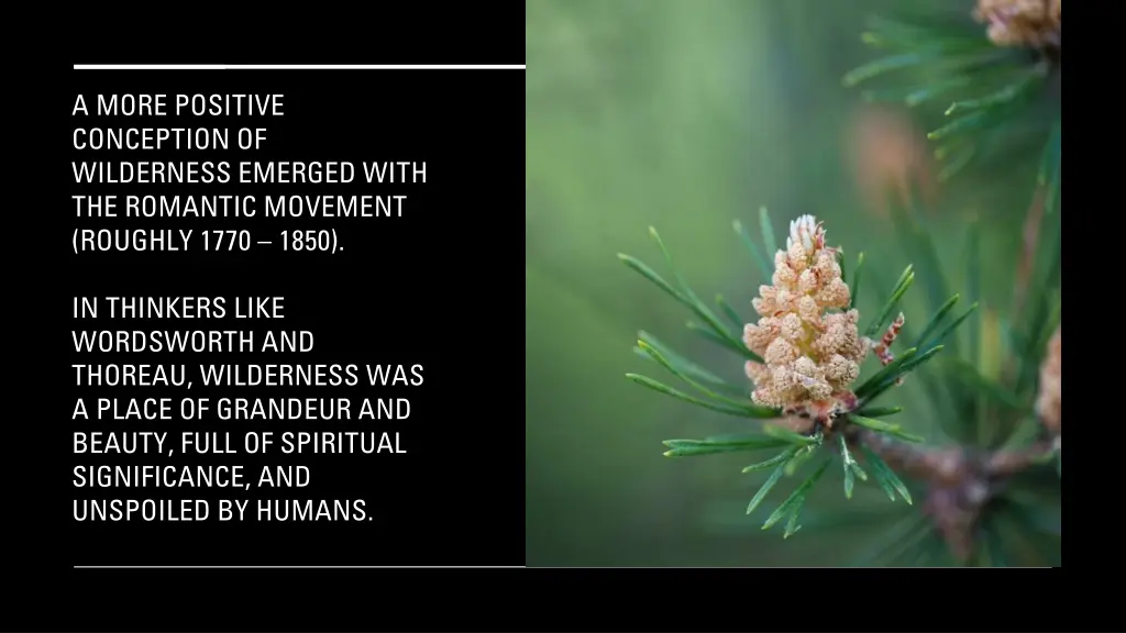 a more positive conception of wilderness emerged