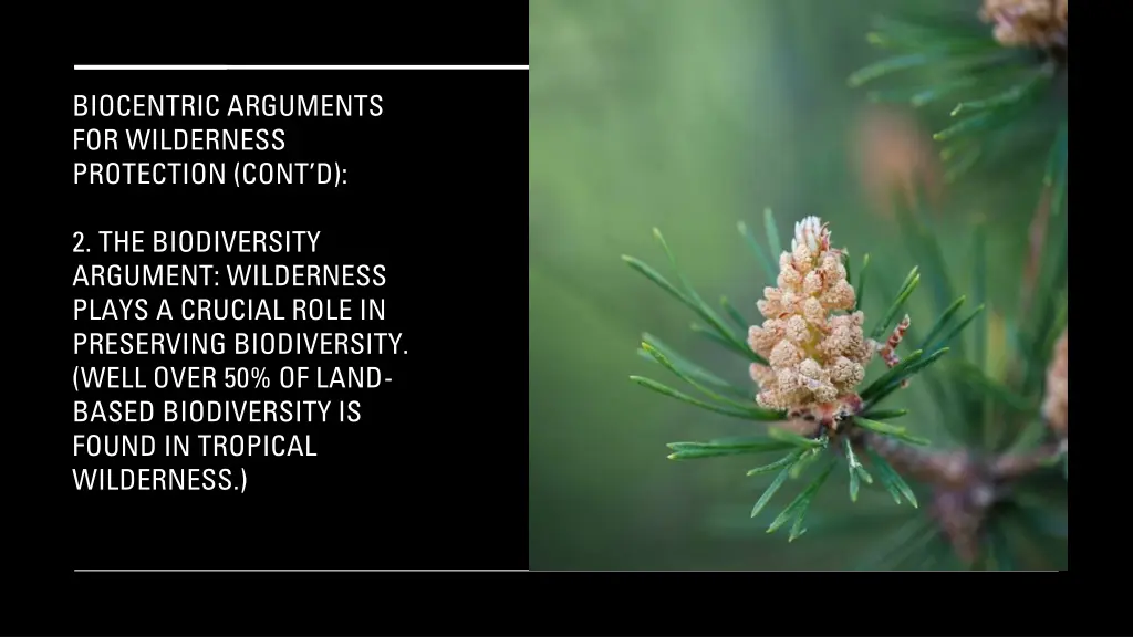 biocentric arguments for wilderness protection 1