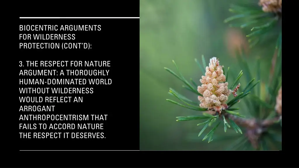biocentric arguments for wilderness protection 2