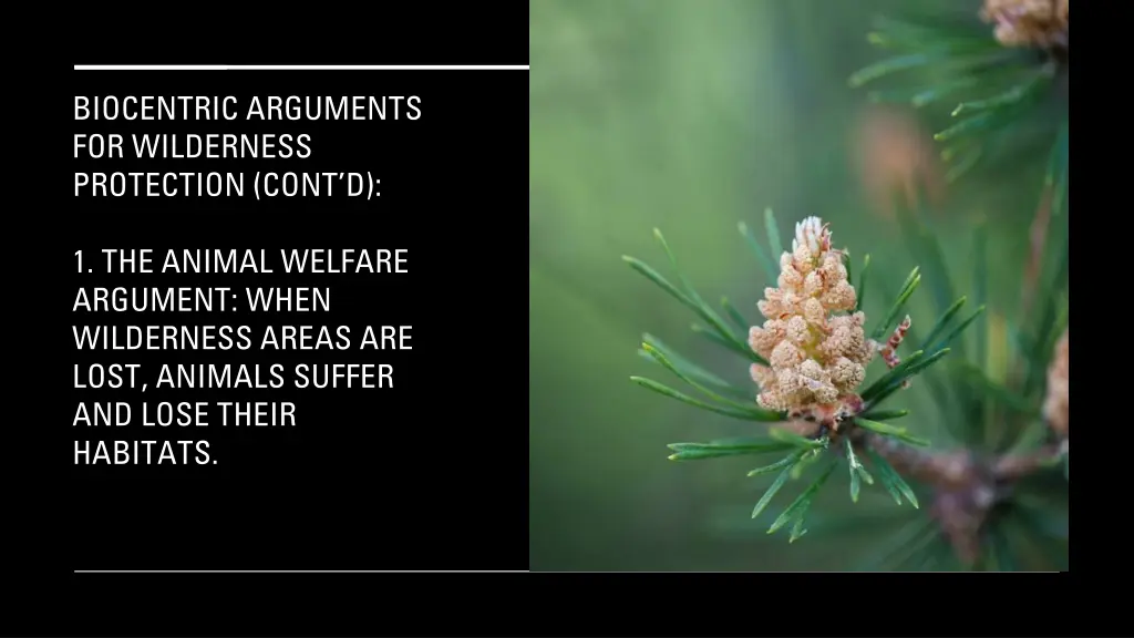 biocentric arguments for wilderness protection