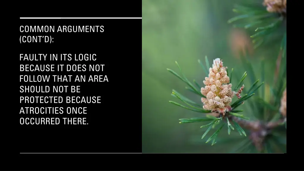 common arguments cont d 12