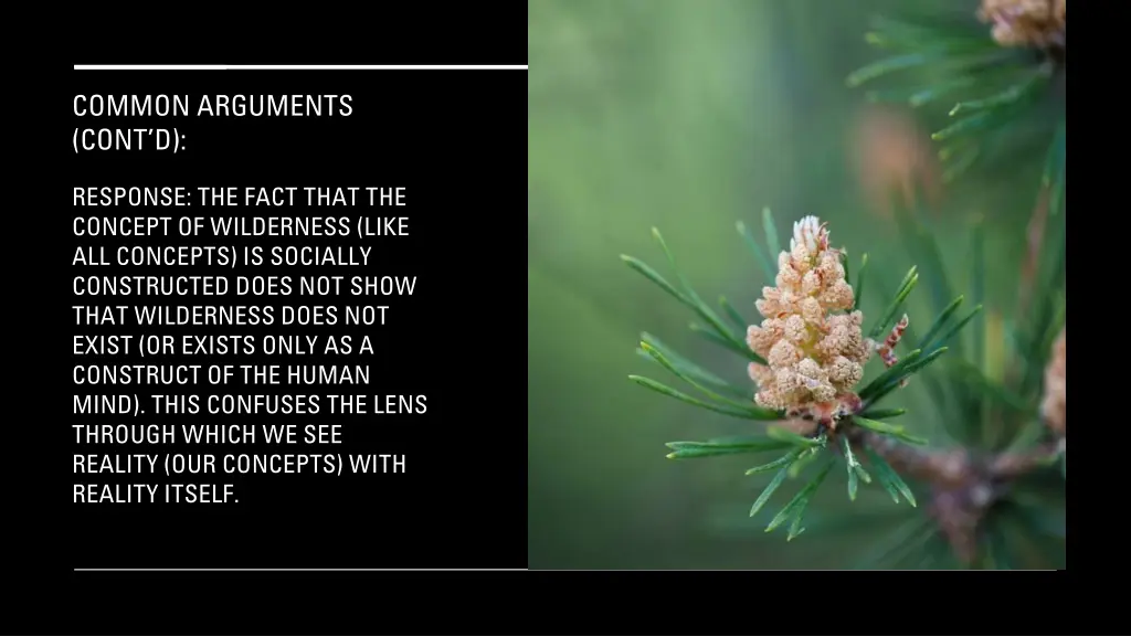 common arguments cont d 14
