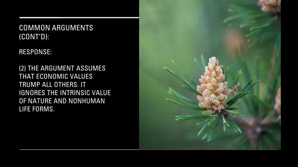 common arguments cont d 20
