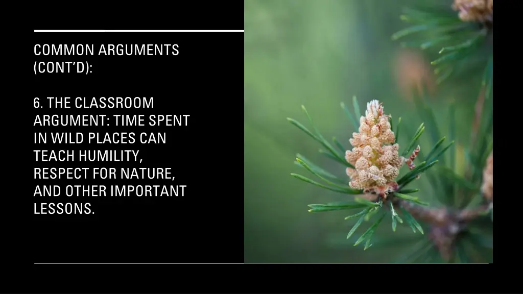 common arguments cont d 4